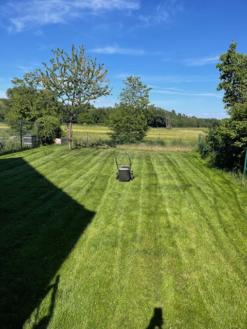 Entretien de jardin