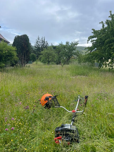 Réalisation AG Jardin & Paysage