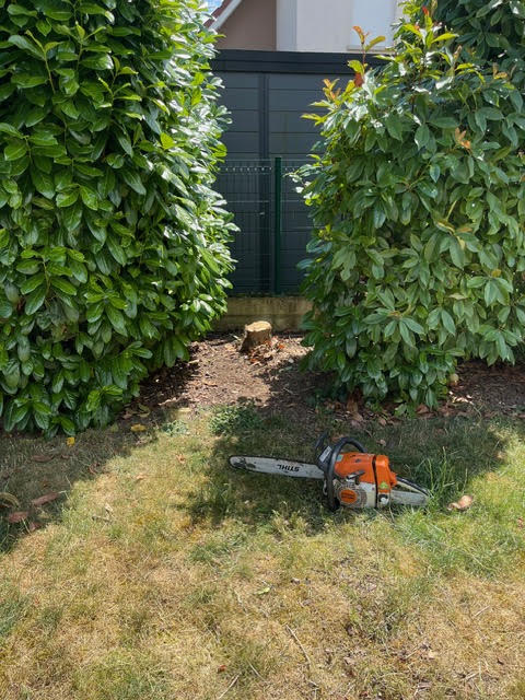 Réalisation AG Jardin & Paysage
