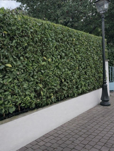 Réalisation AG Jardin & Paysage