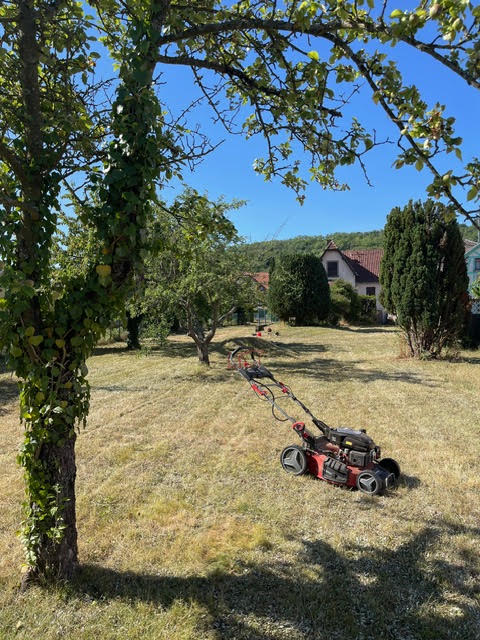 Réalisation AG Jardin & Paysage