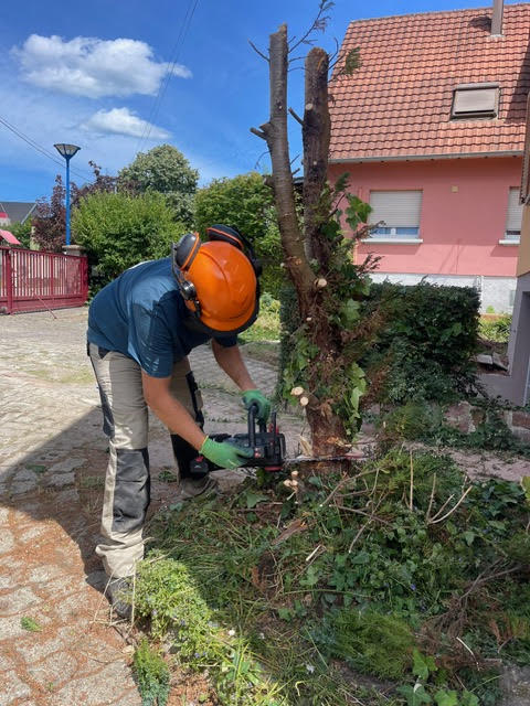 Réalisation AG Jardin & Paysage