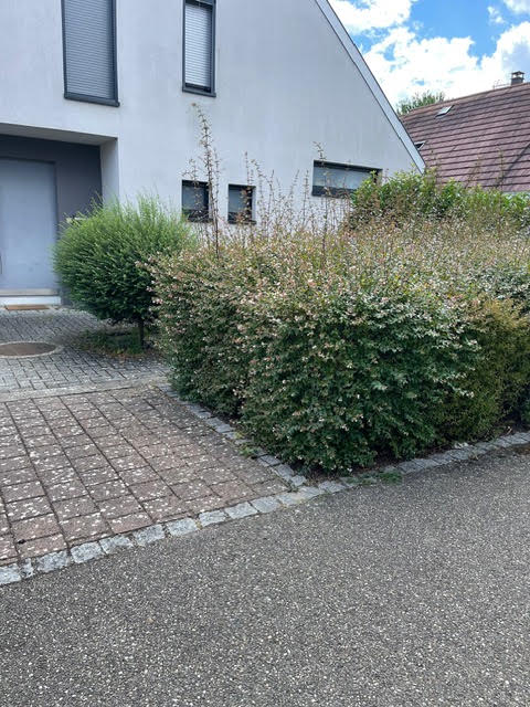 Réalisation AG Jardin & Paysage