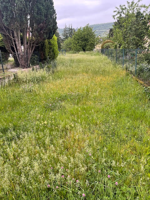 Plantations & massifs